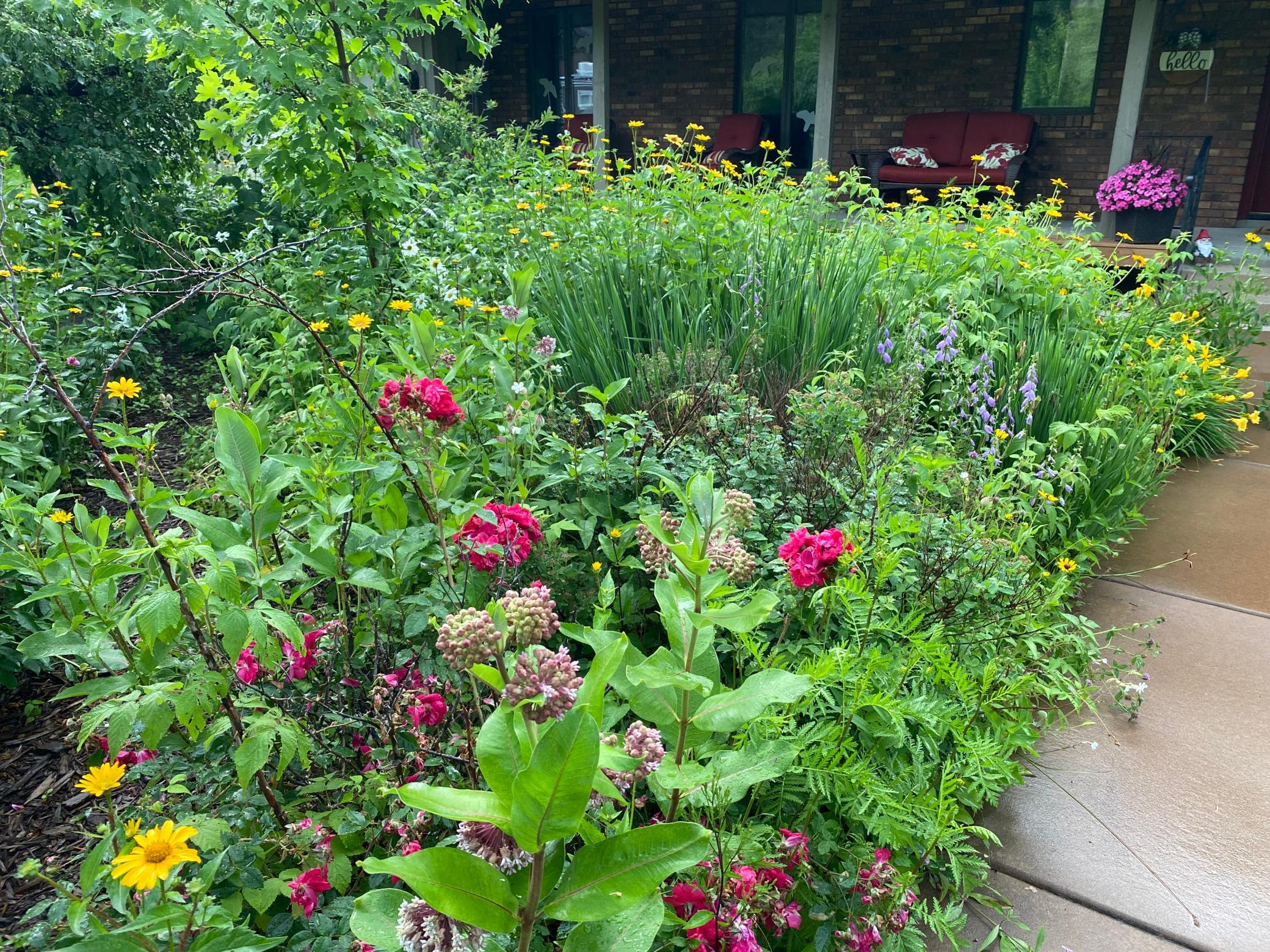 Beautiful landscaping