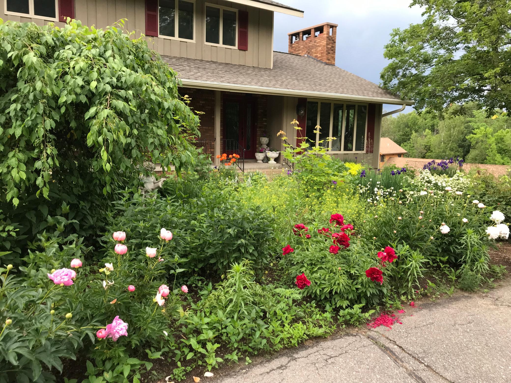 Beautiful landscaping