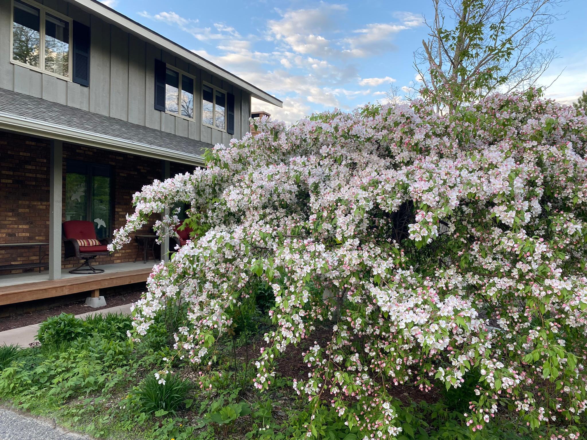 Beautiful landscaping