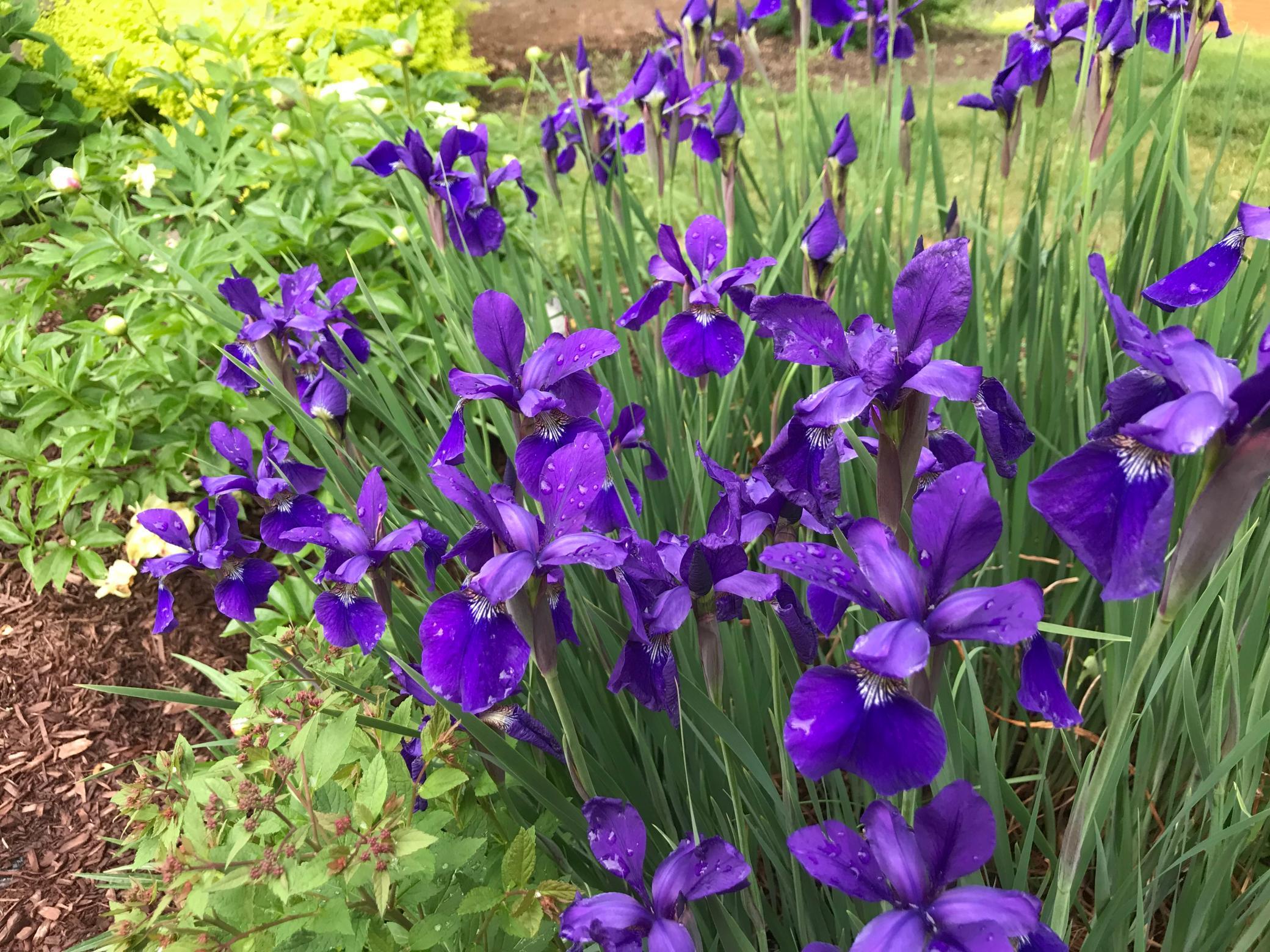 Beautiful landscaping
