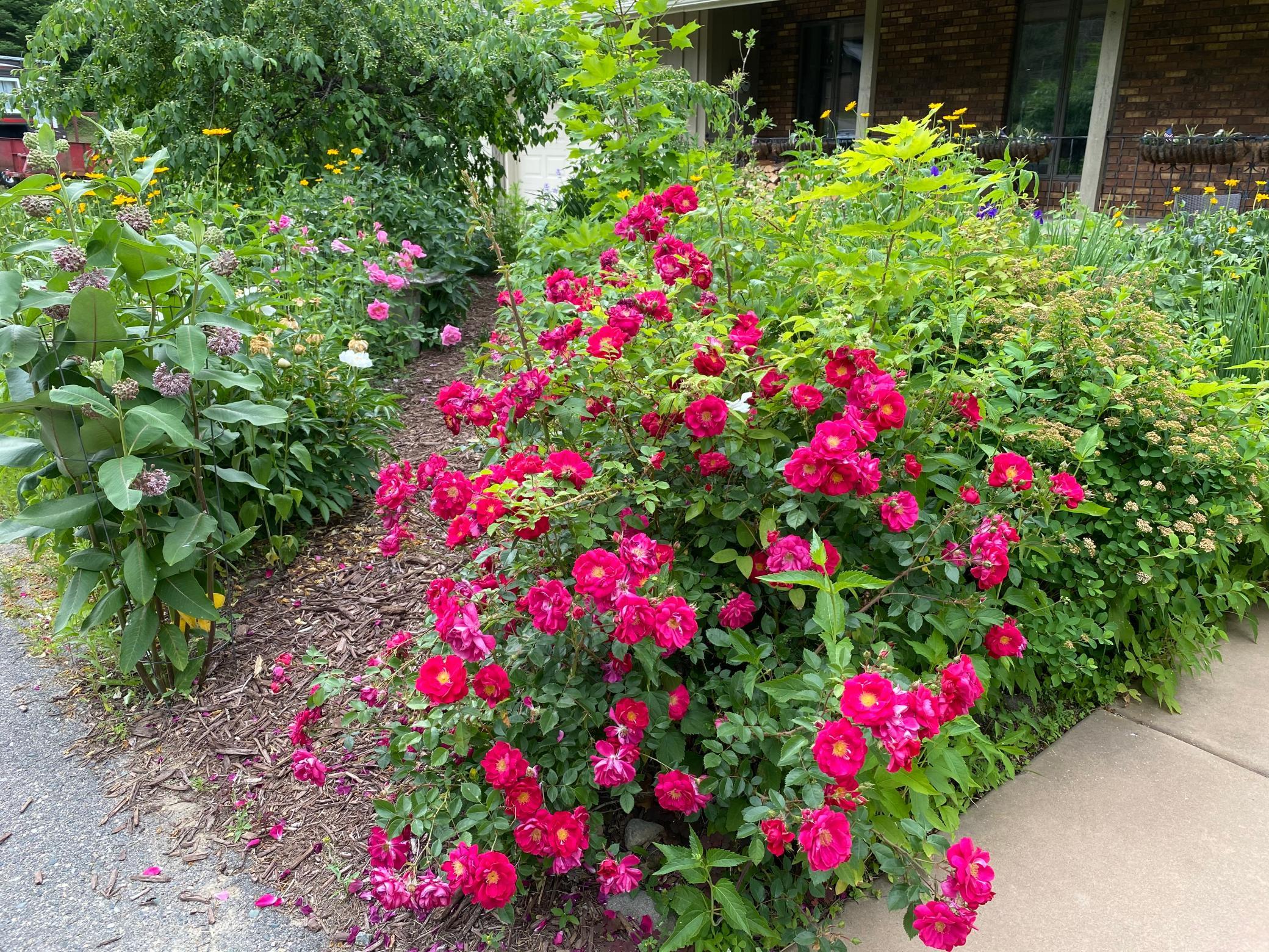 Beautiful landscaping