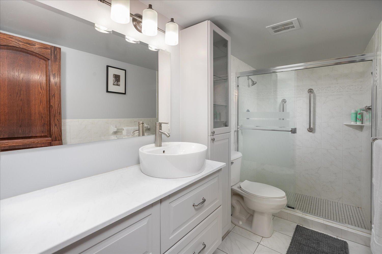 Lower level bathroom