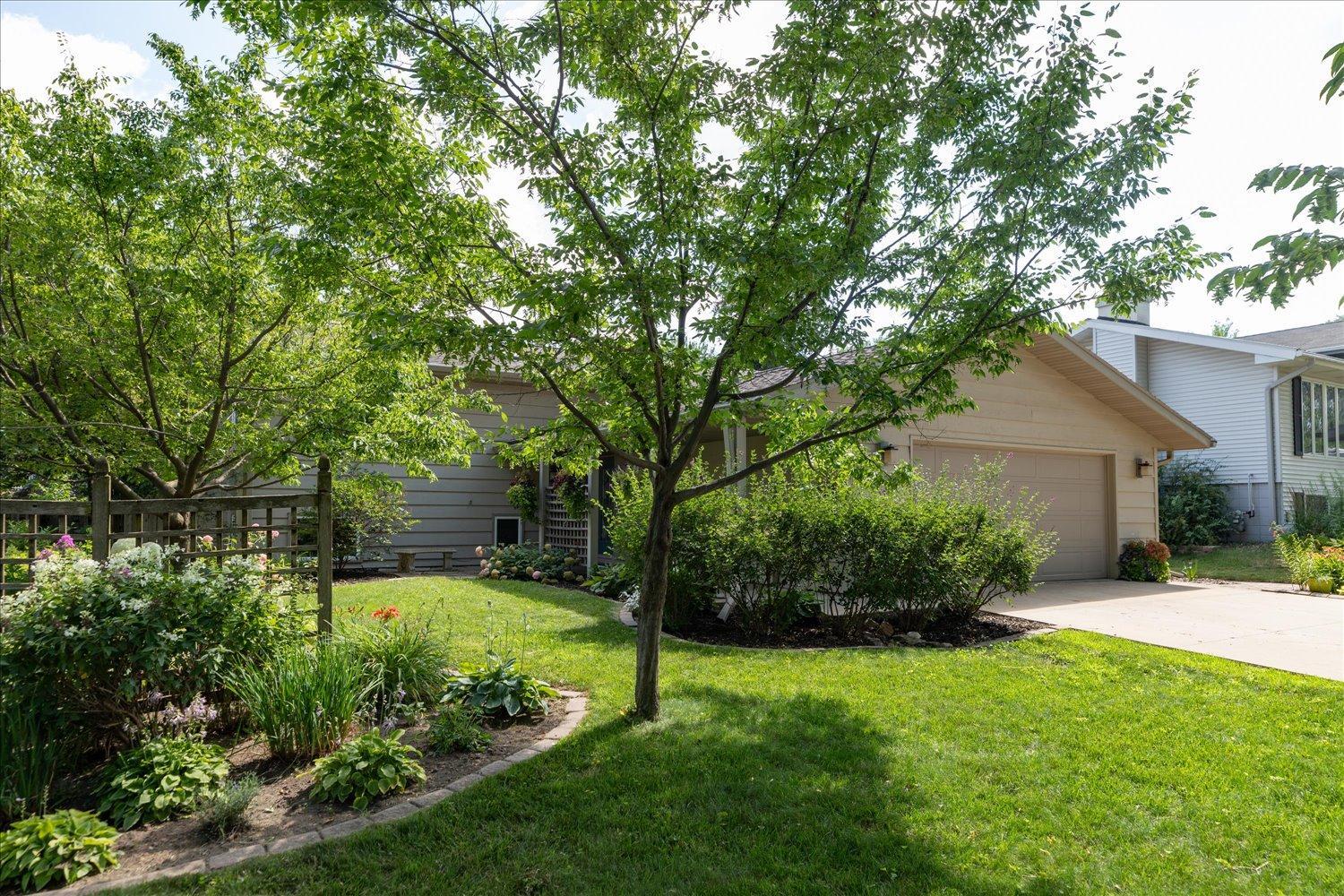 Mature trees cover front yard