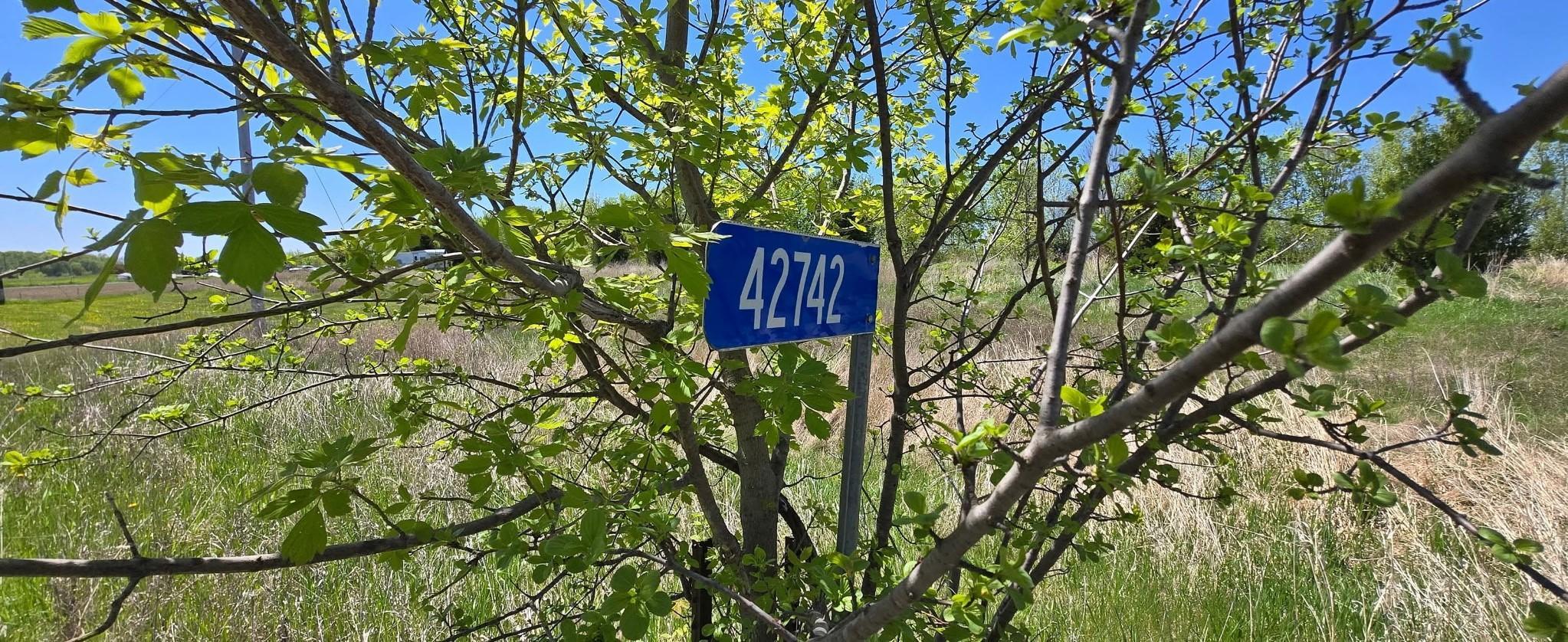 593.jpg