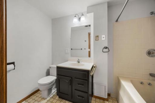Full lower level bathroom