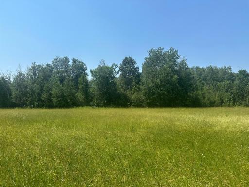 38949 Nature Avenue, Aitkin, MN 56431