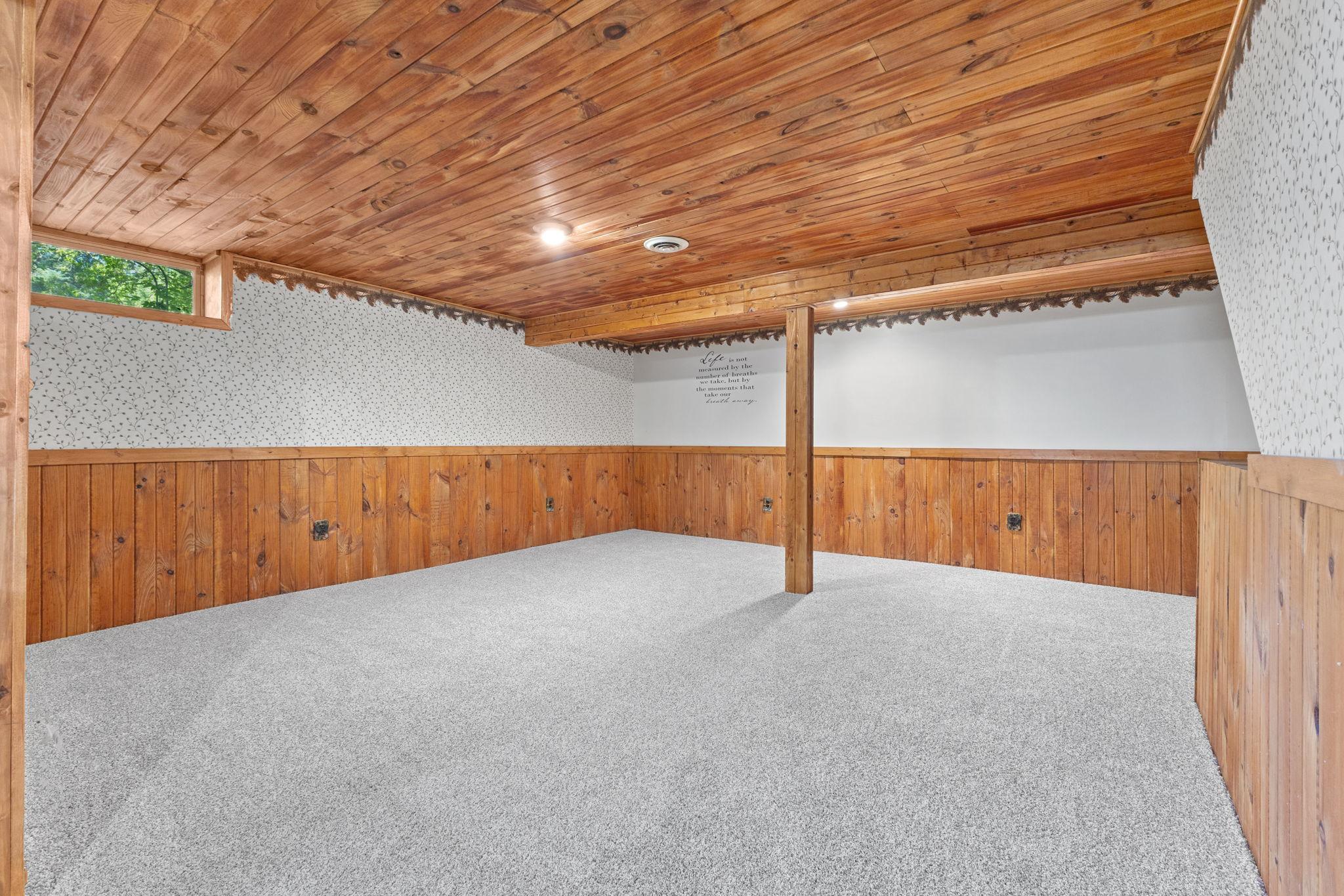 Basement living room