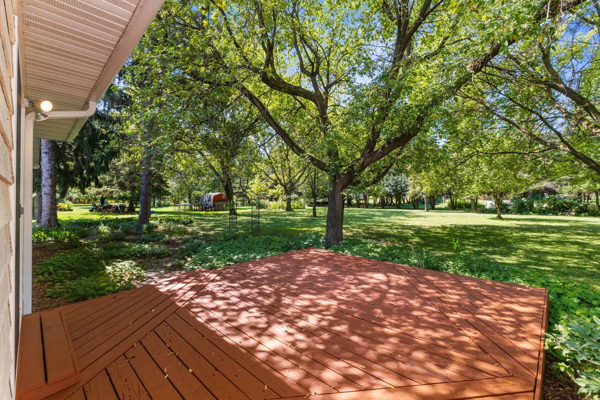 Backyard deck