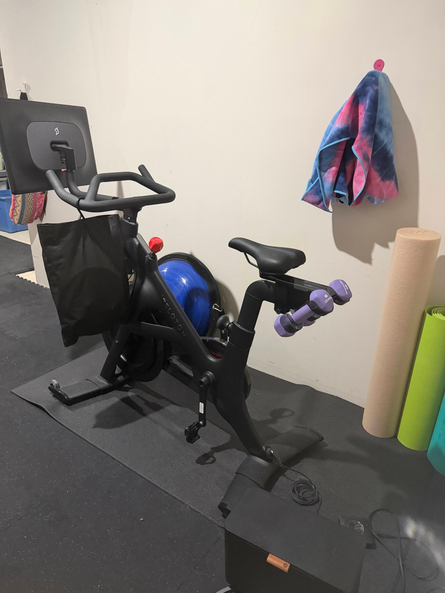 This lower-level workout area offers plenty of space for a treadmill, weights, and a Peloton, and is equipped with a TV for added convenience.