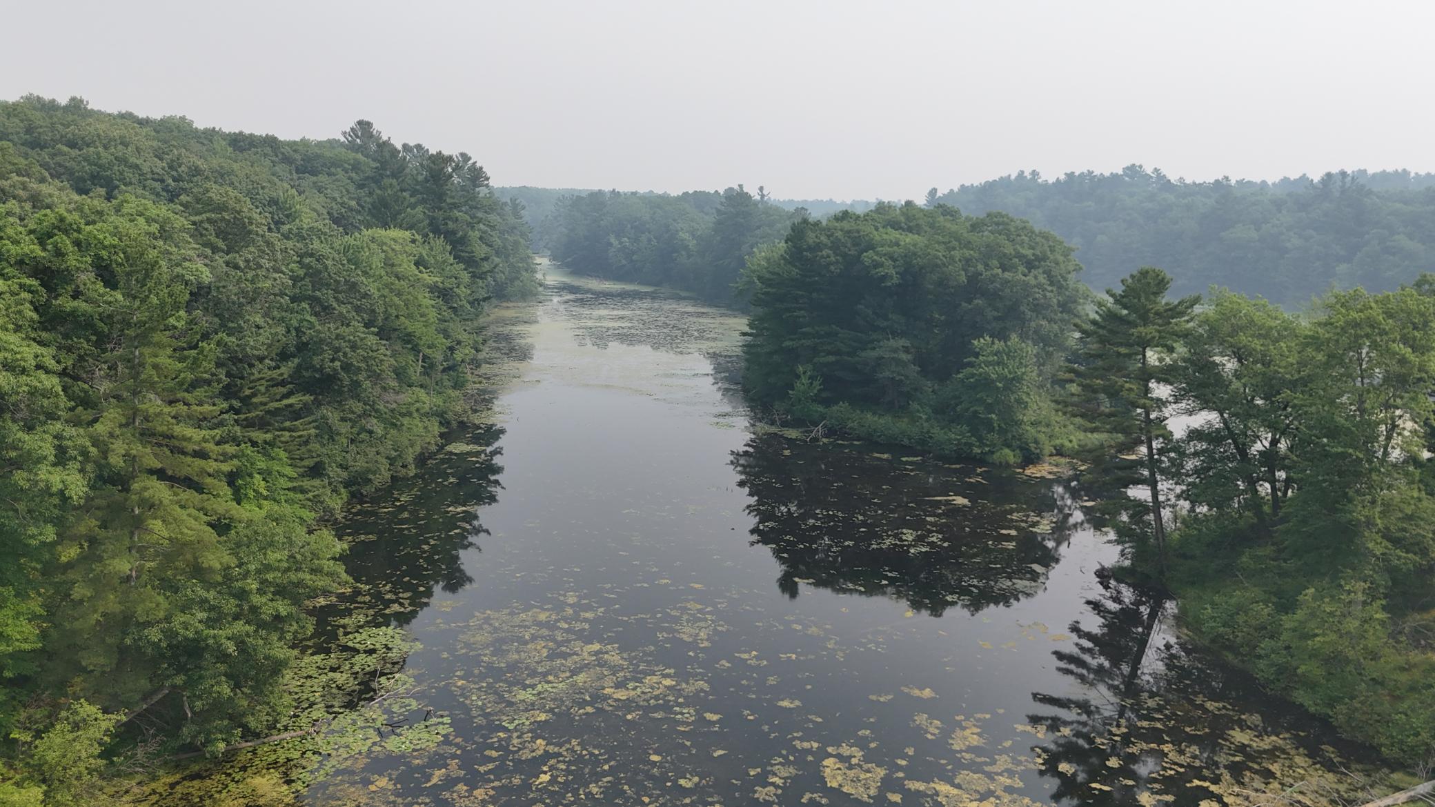 DJI_20260716105420_0008_D.JPG