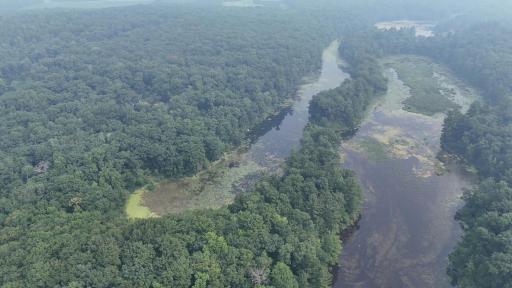 DJI_20260716105455_0009_D.JPG