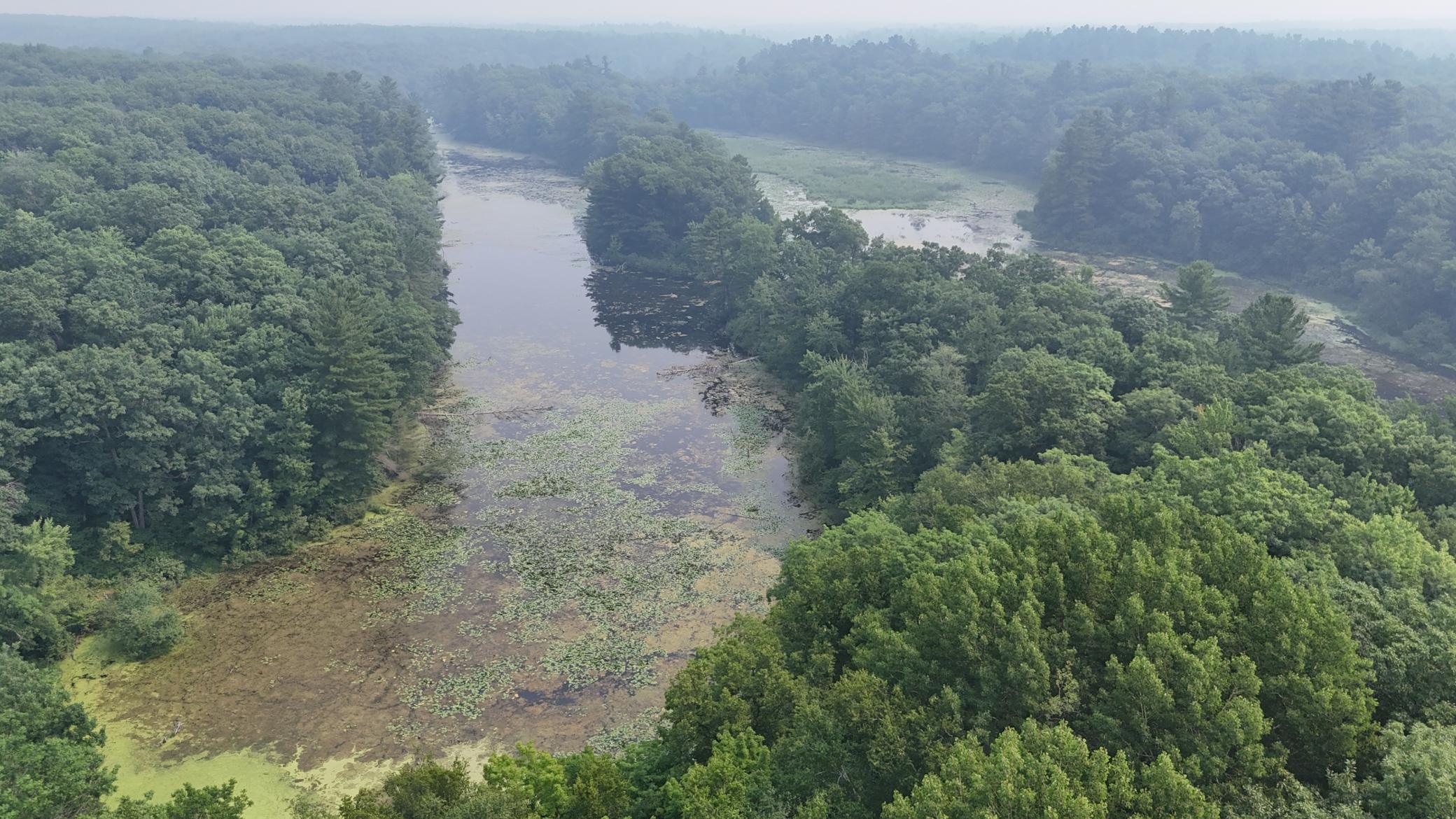 DJI_20260716105404_0007_D.JPG