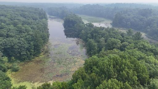 DJI_20260716105404_0007_D.JPG
