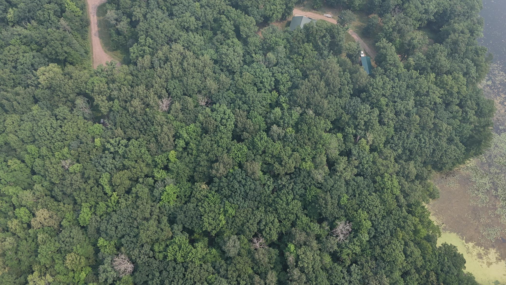 DJI_20260716105605_0014_D.JPG