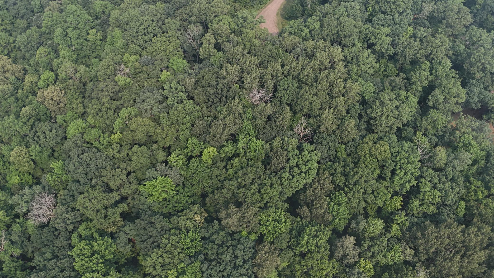 DJI_20260716105547_0013_D.JPG