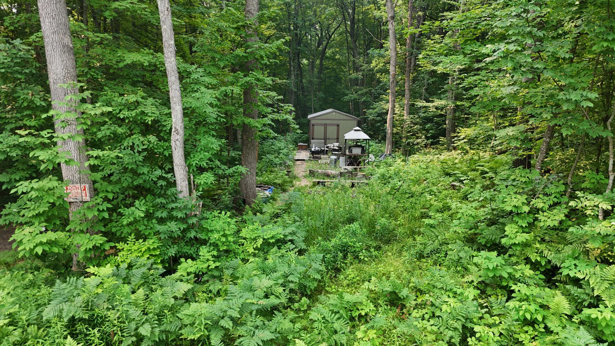 DJI_20260716105217_0005_D.JPG