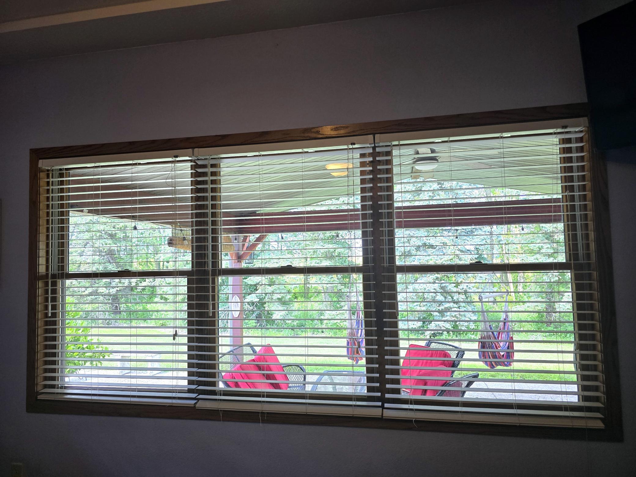 16 View Out Primary Bedroom.jpg