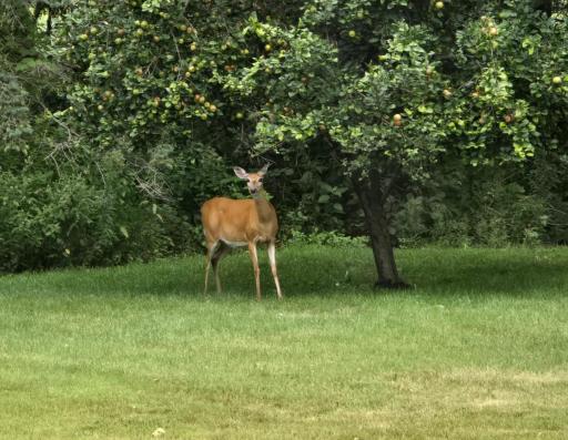 59 Yard Guest.jpg