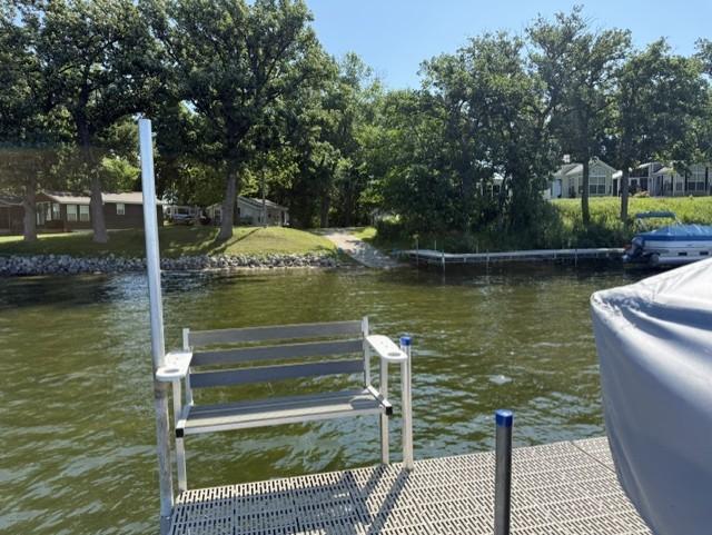 Fish off Dock.jpg