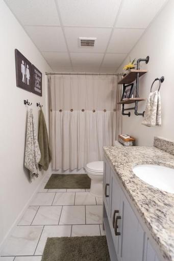 Lower Level Bathroom