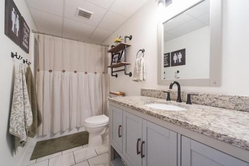 Lower level bathroom