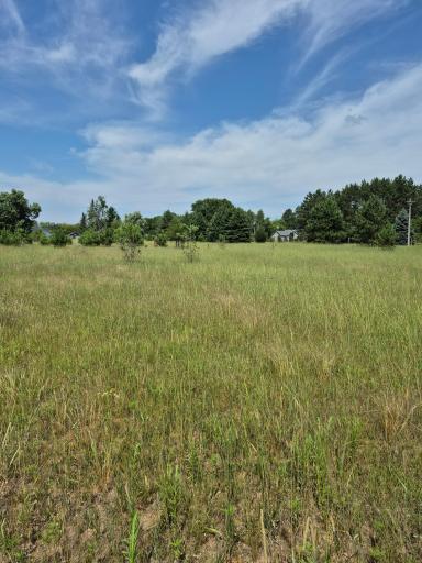 Flat open land, great for building your dream home or animals grazing
