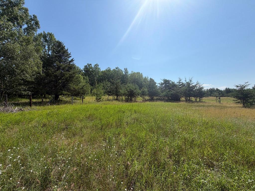 Open areas for a pasture, garden or building site.