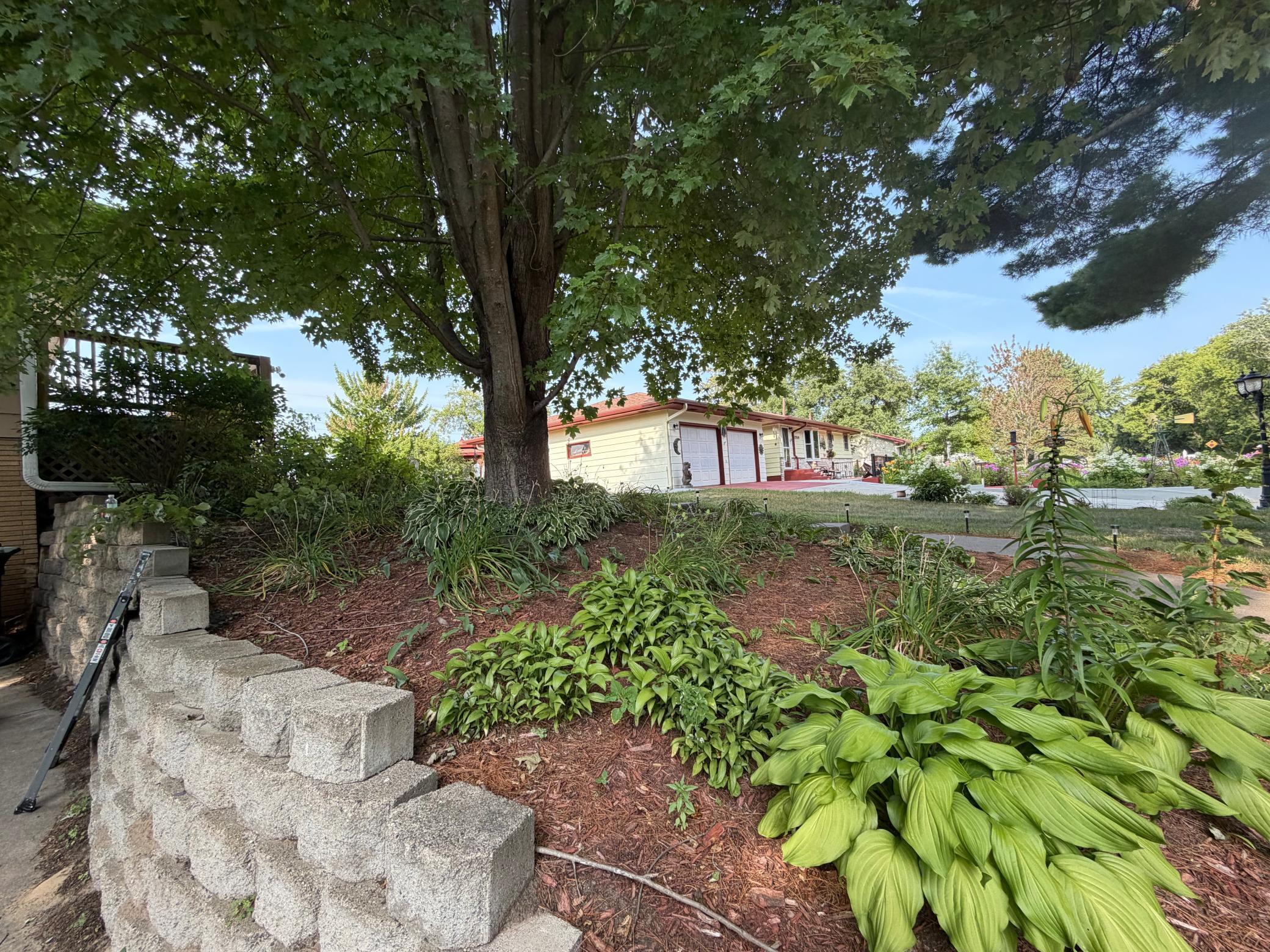 1247 1251 167th Ave NE Andover.JPG