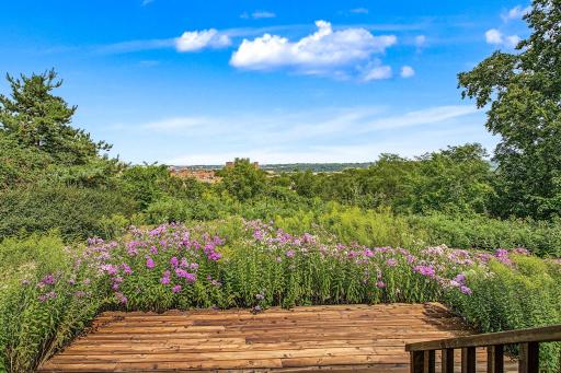 Native plants frame the deck in late summer glory