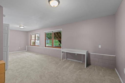 The finished lower level provides additional living space with a spacious family room featuring lookout windows.