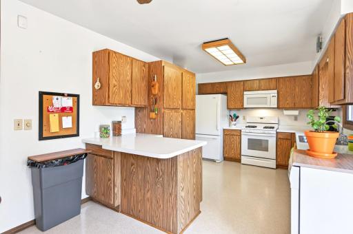 3833 40th Avenue S, Minneapolis, MN 55406