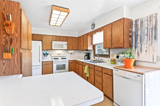 3833 40th Avenue S, Minneapolis, MN 55406