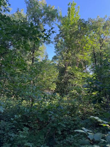 xxxxx Volkmann Lane, Grantsburg, WI 54840