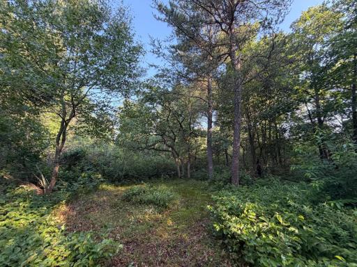 xxxxx Volkmann Lane, Grantsburg, WI 54840