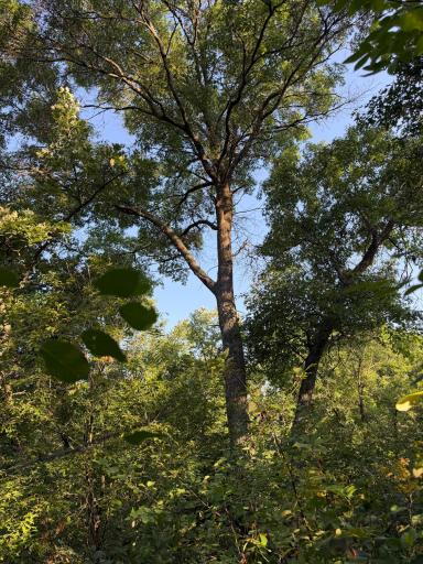xxxxx Volkmann Lane, Grantsburg, WI 54840