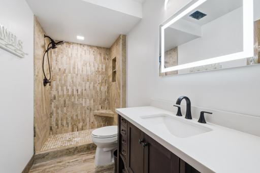 Dowstairs Bathroom, Custom Mosaic Tile, Glass Door to be Installed.