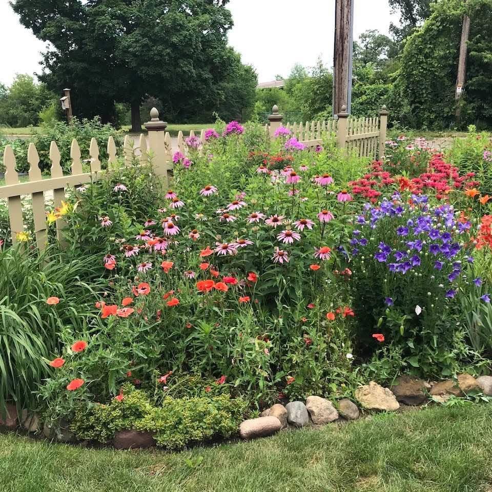 Beautiful flower beds