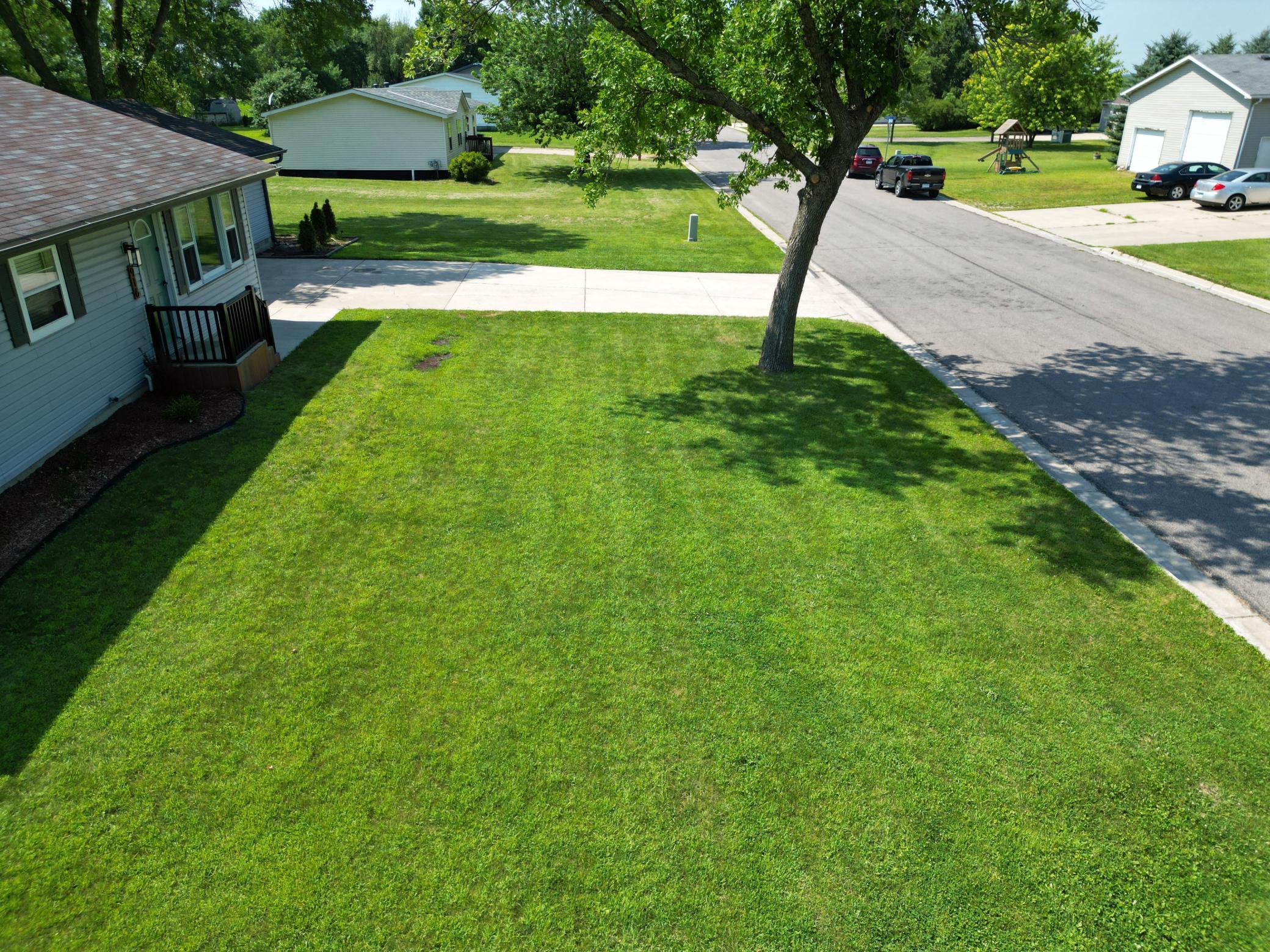 Front Yard
