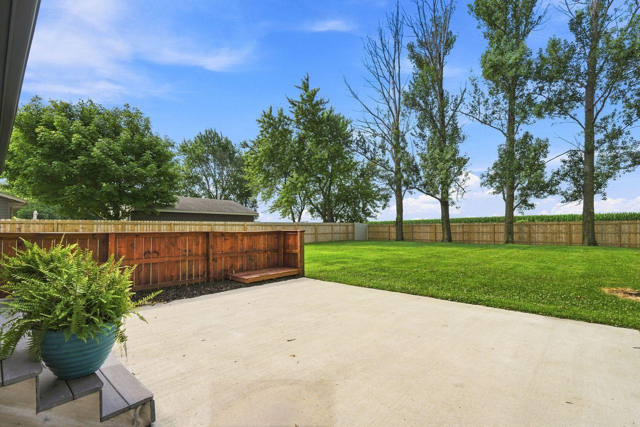 Patio and Backyard
