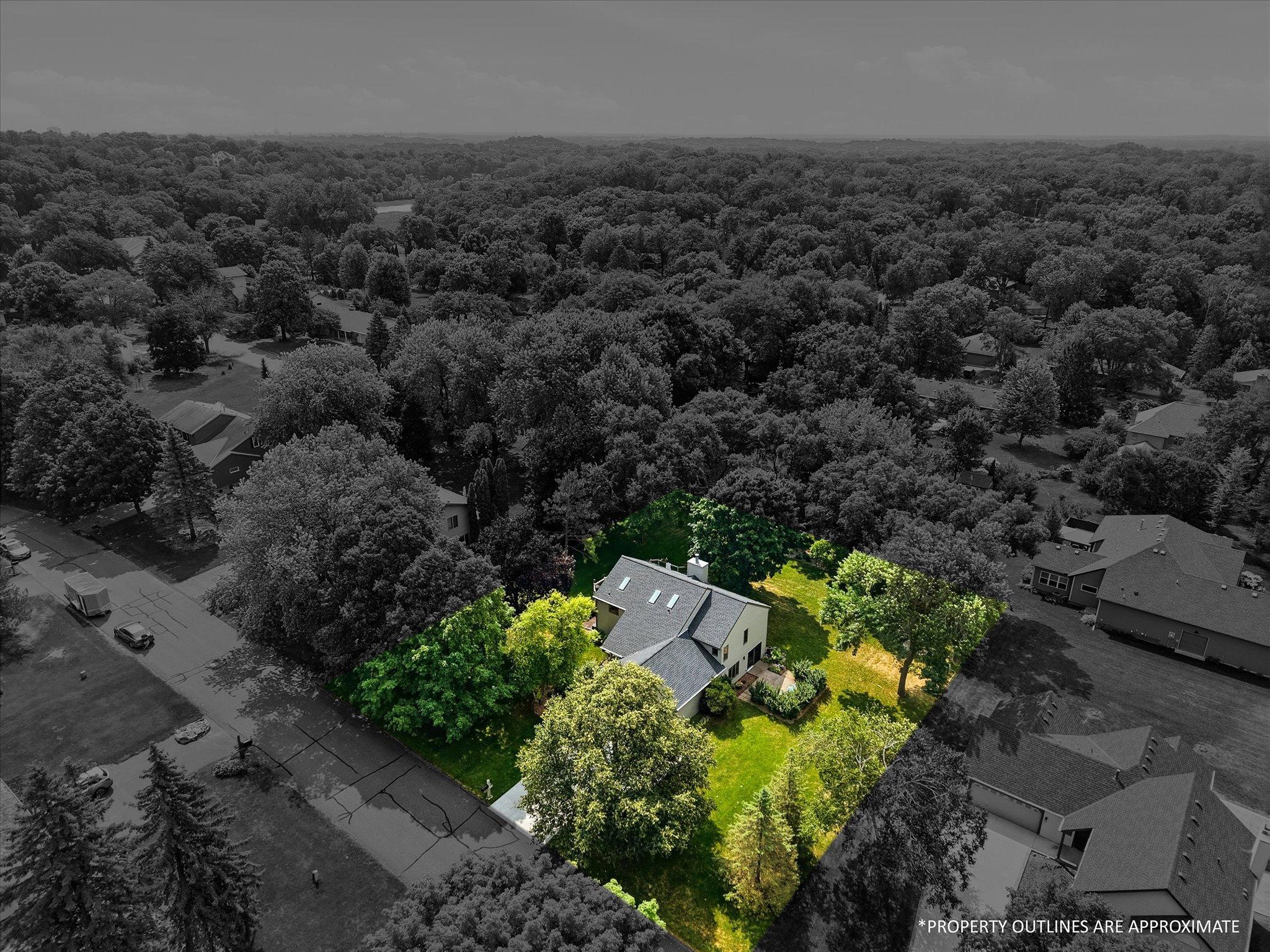 General outline of the 1/2 acre yard