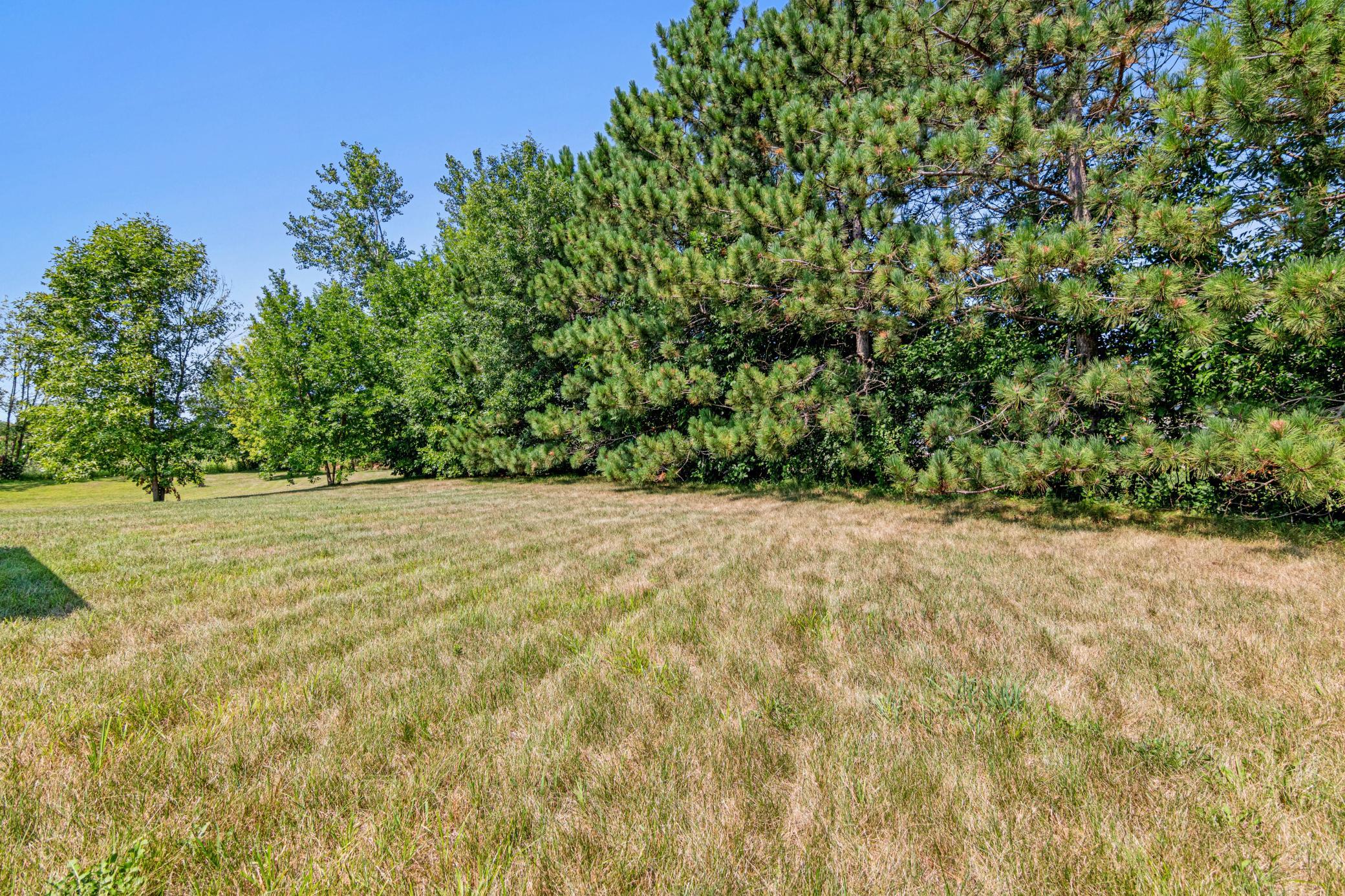 Mature pines add a welcome sense of privacy.
