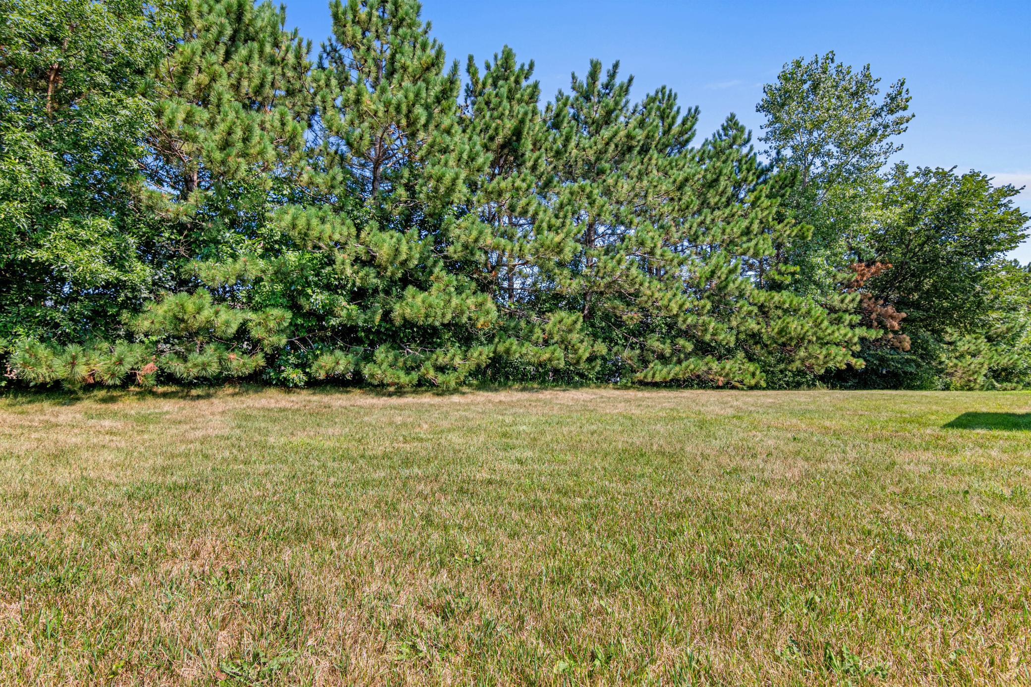 Green space with mature pines