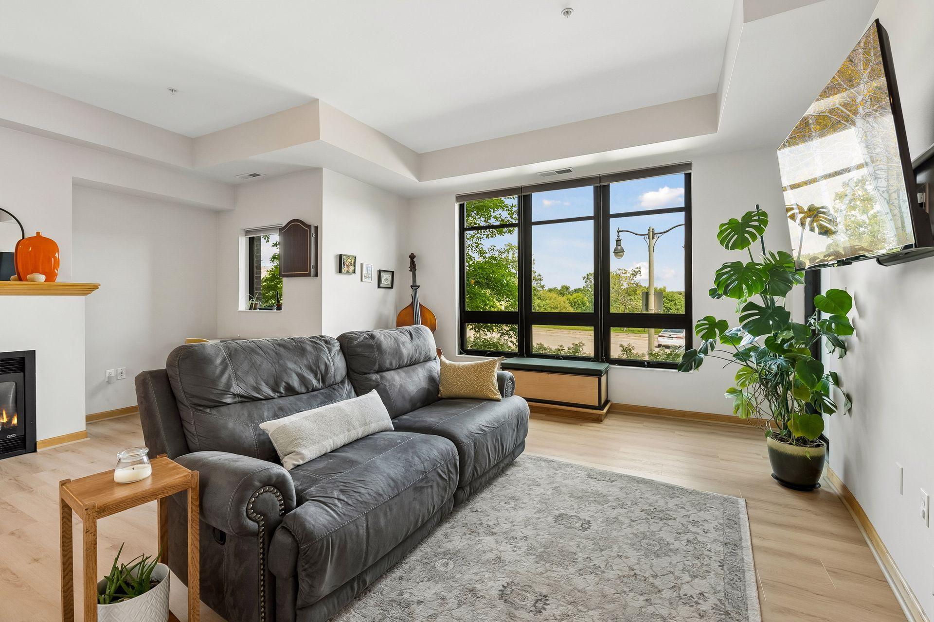Note the extra window on the left near the fireplace - also overlooking Wolfe Park.