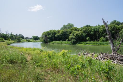 DSC_9201.jpg