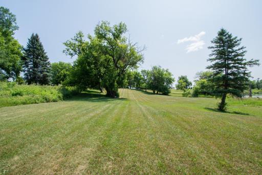 DSC_9207.jpg