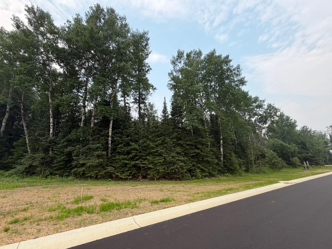Property photo for Lot 2, Block 2 Eldien Dr, Cook, MN 55723