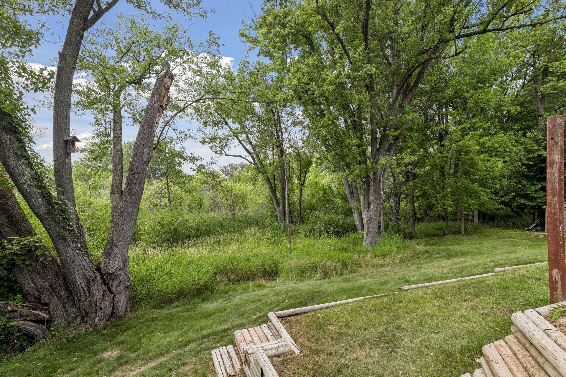 Absolutely stunning backyard - no neighbors directly behind - all natural environment.