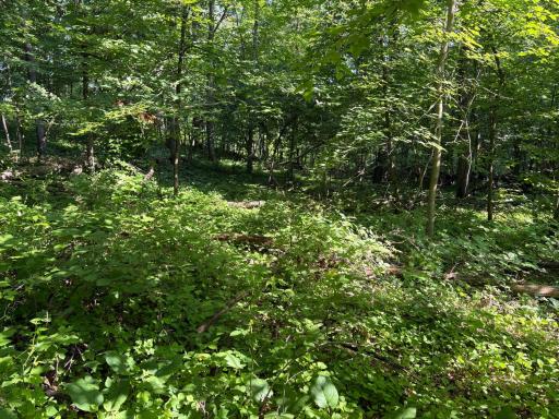 320th 320th Street, Browerville, MN 56438