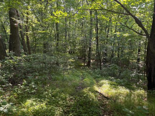 320th 320th Street, Browerville, MN 56438