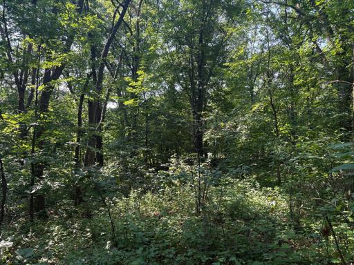 320th 320th Street, Browerville, MN 56438